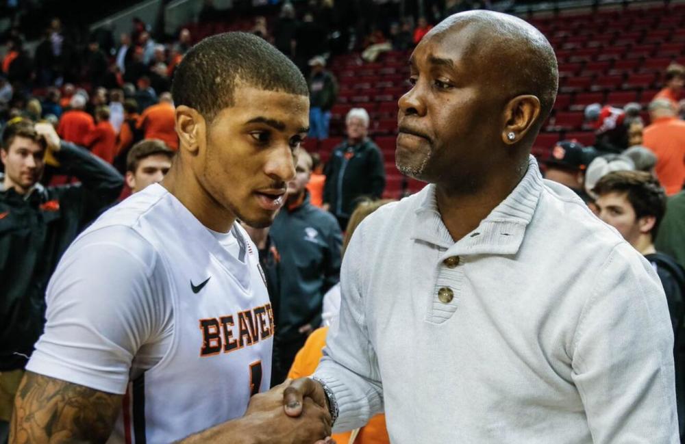 并寻找反击 并寻找反击