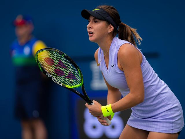 菲卡的执教 菲卡的执教